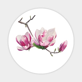 Magnolia branch Magnet